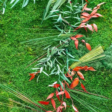 Ibis Budget Chateau-thierry Szálloda