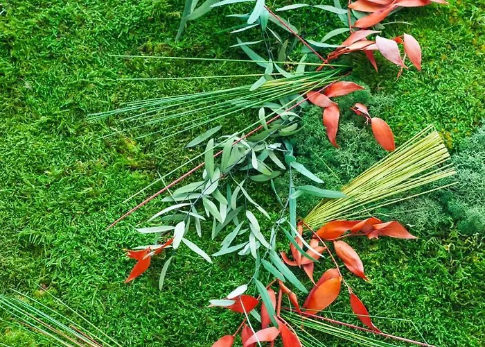 Ibis Budget Chateau-thierry Hotel